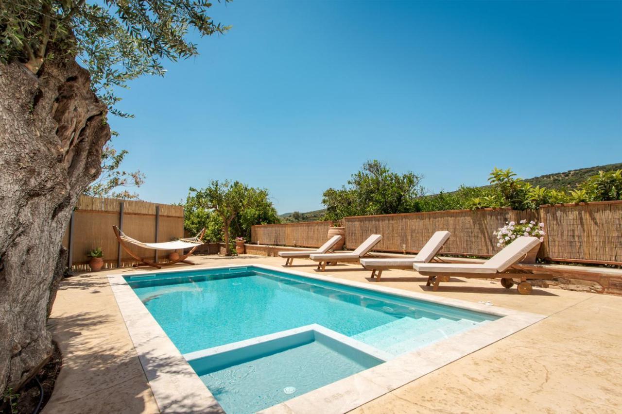 Avocado Villas Chania (Crete) Екстер'єр фото