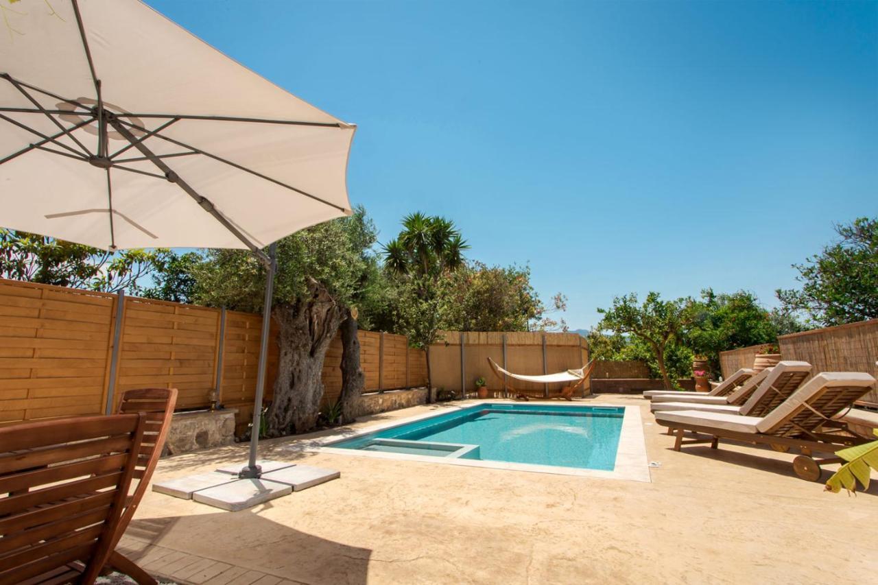 Avocado Villas Chania (Crete) Екстер'єр фото