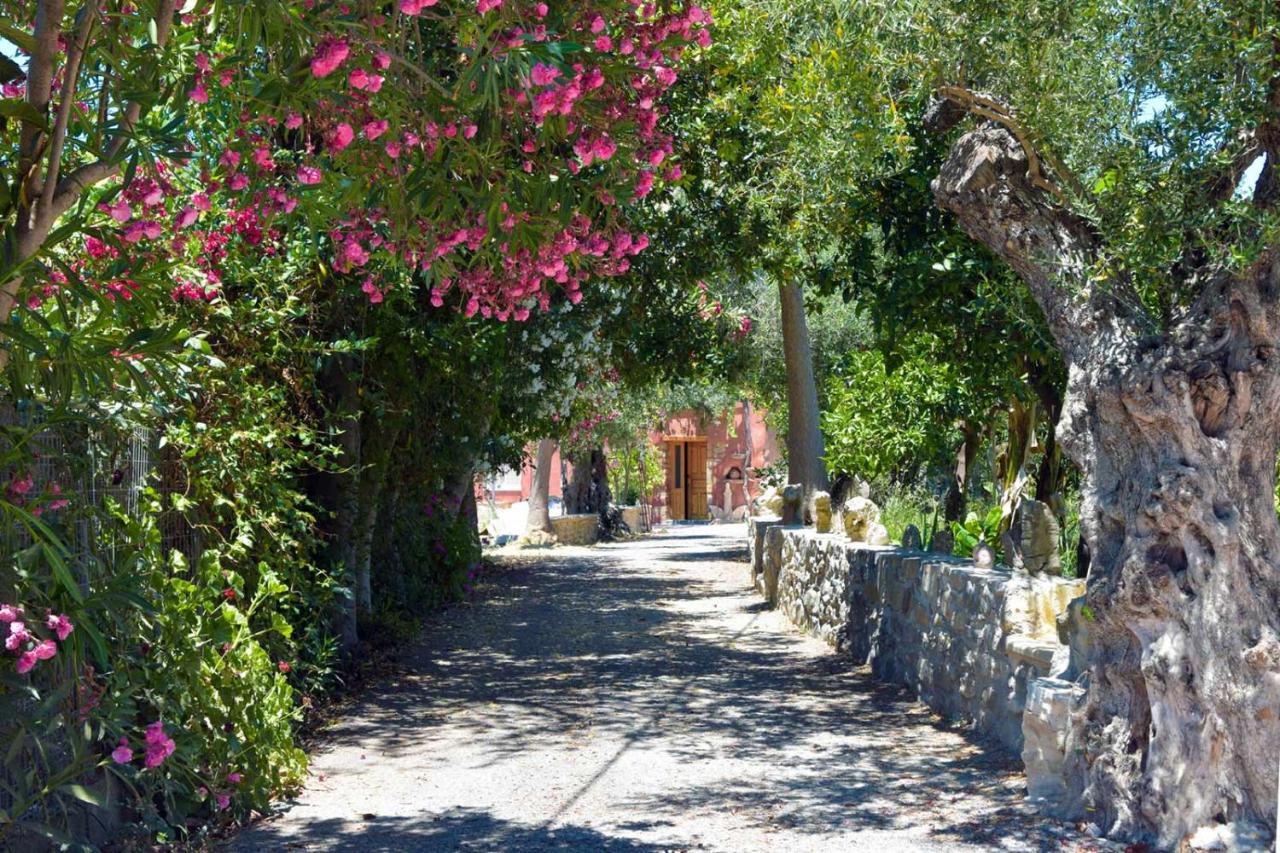 Avocado Villas Chania (Crete) Екстер'єр фото